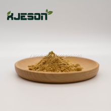 Hot Selling Gymnema Sylvestre Extract Powder